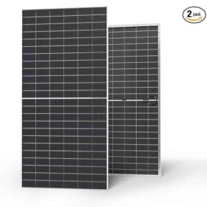 پنل خورشیدی RENOGY مدل N-Type Bifacial 2PCS 590W Monocrystalline