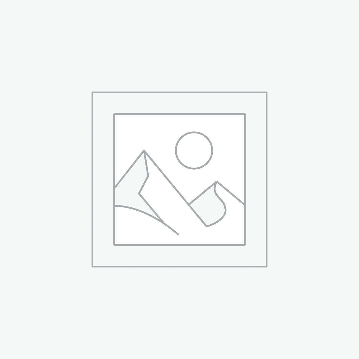 CHASSIS SYSTEMS